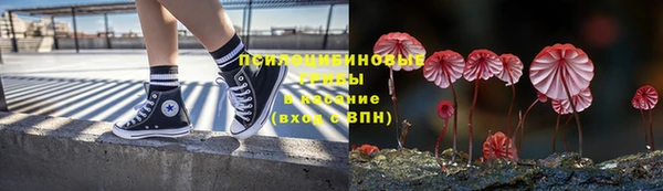 дурь Каменка
