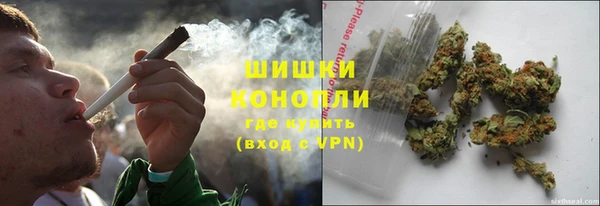 дживик Каменногорск