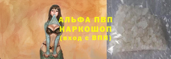 дурь Каменка