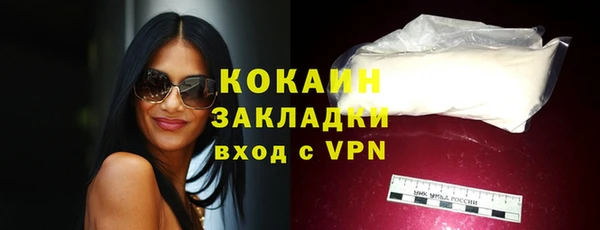дурь Каменка