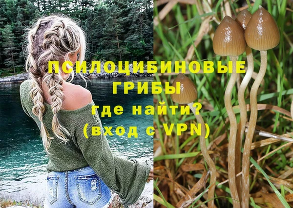 твердый Каменск-Шахтинский