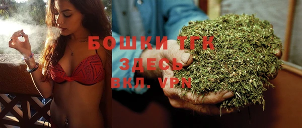 дурь Каменка