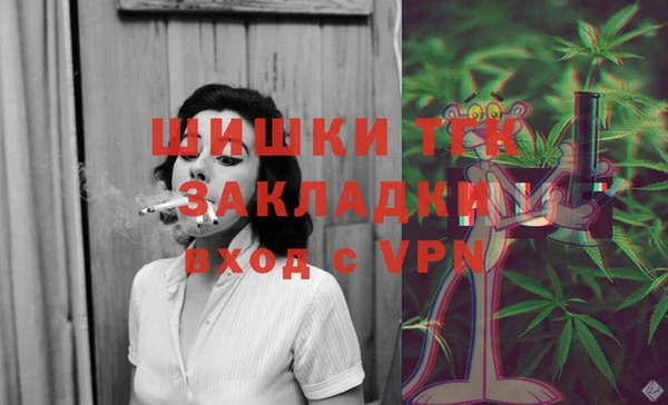 дживик Каменногорск