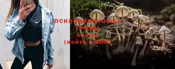 дживик Каменногорск