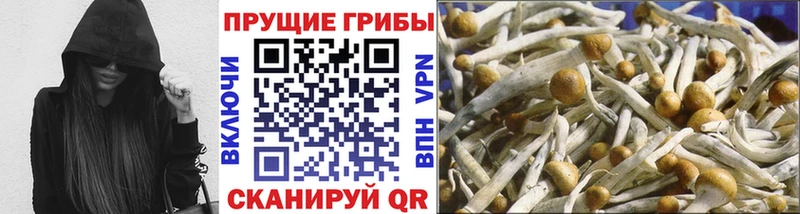 Галлюциногенные грибы MAGIC MUSHROOMS  Ипатово 