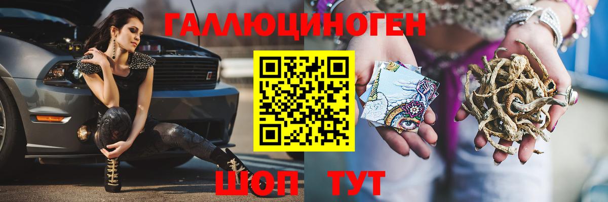 Галлюциногенные грибы Psilocybine cubensis Ипатово